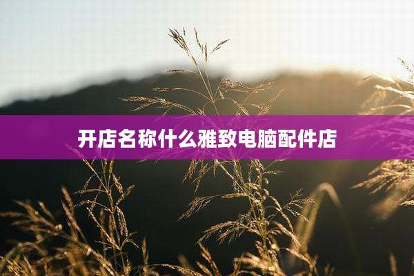 开店名称什么雅致电脑配件店