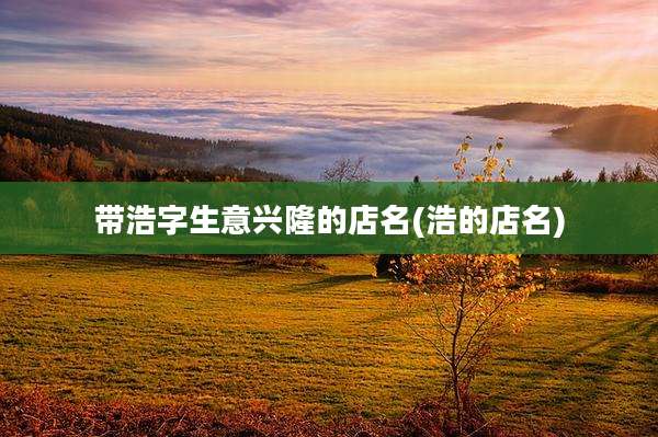 带浩字生意兴隆的店名(浩的店名)