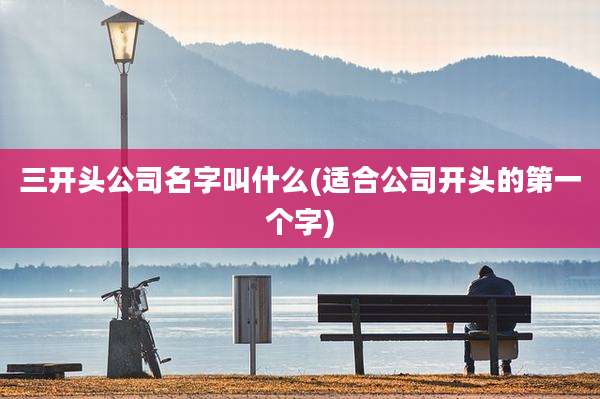 三开头公司名字叫什么(适合公司开头的第一个字)