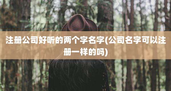注册公司好听的两个字名字(公司名字可以注册一样的吗)