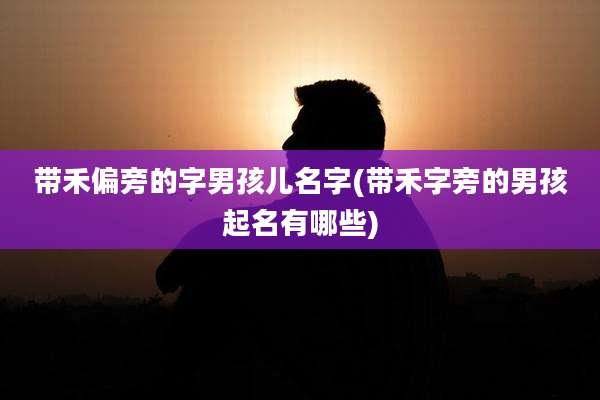 带禾偏旁的字男孩儿名字(带禾字旁的男孩起名有哪些)