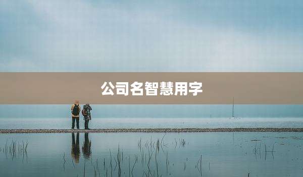 公司名智慧用字