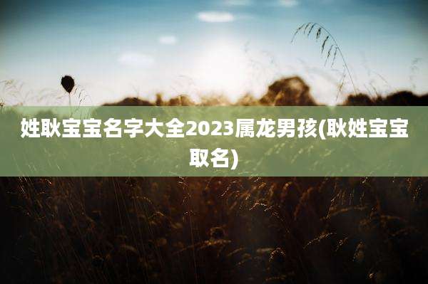 姓耿宝宝名字大全2023属龙男孩(耿姓宝宝取名)