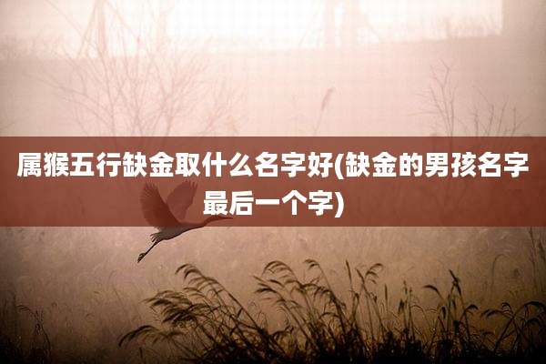 属猴五行缺金取什么名字好(缺金的男孩名字最后一个字)