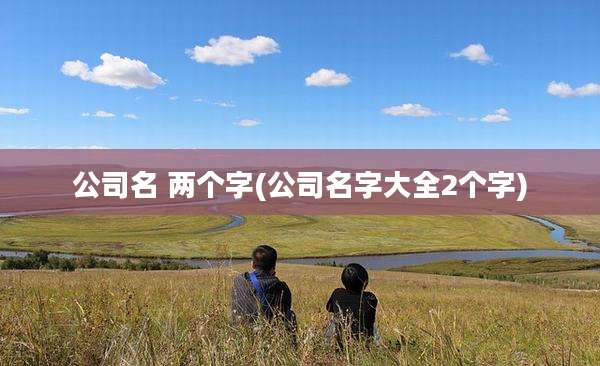 公司名 两个字(公司名字大全2个字)