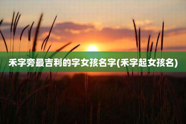 禾字旁最吉利的字女孩名字(禾字起女孩名)