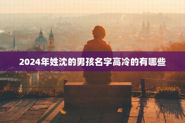 2024年姓沈的男孩名字高冷的有哪些
