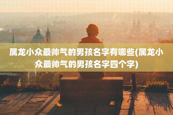 属龙小众最帅气的男孩名字有哪些(属龙小众最帅气的男孩名字四个字)