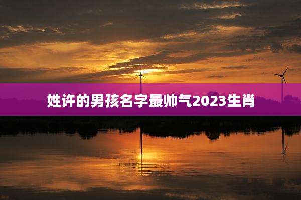 姓许的男孩名字最帅气2023生肖
