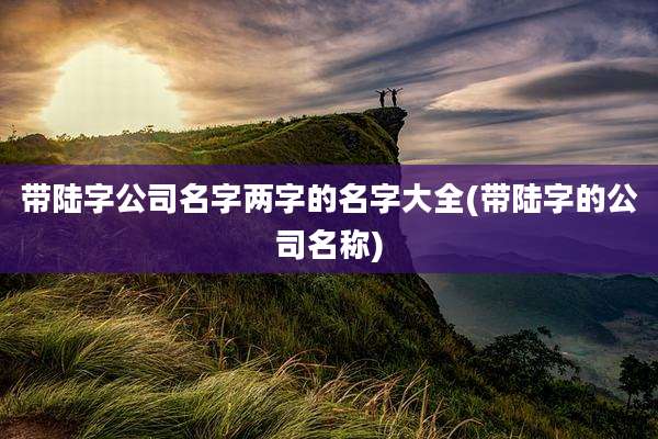 带陆字公司名字两字的名字大全(带陆字的公司名称)