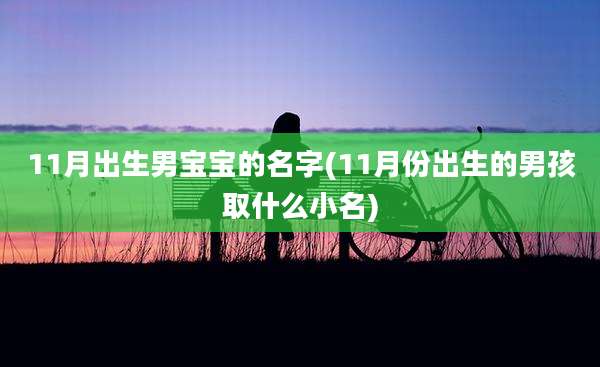 11月出生男宝宝的名字(11月份出生的男孩取什么小名)