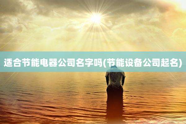 适合节能电器公司名字吗(节能设备公司起名)