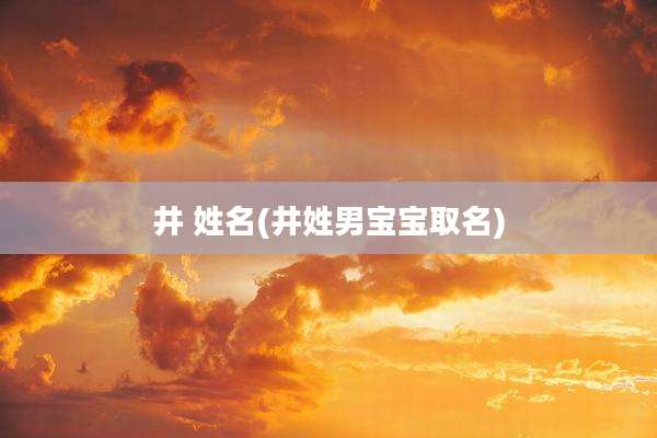 井 姓名(井姓男宝宝取名)