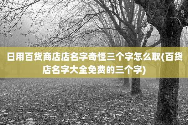 日用百货商店店名字奇怪三个字怎么取(百货店名字大全免费的三个字)