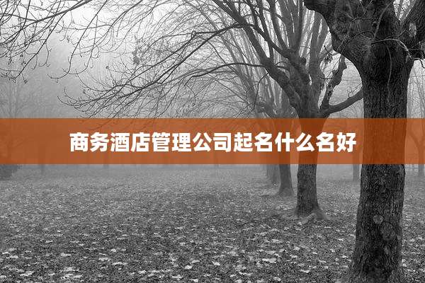 商务酒店管理公司起名什么名好