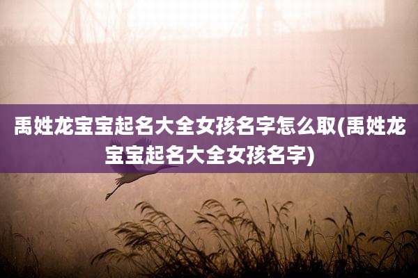 禹姓龙宝宝起名大全女孩名字怎么取(禹姓龙宝宝起名大全女孩名字)