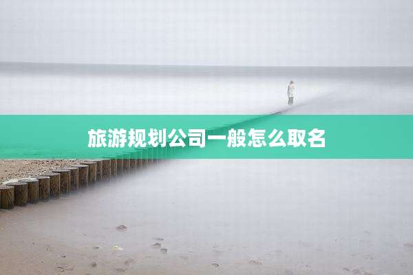 旅游规划公司一般怎么取名