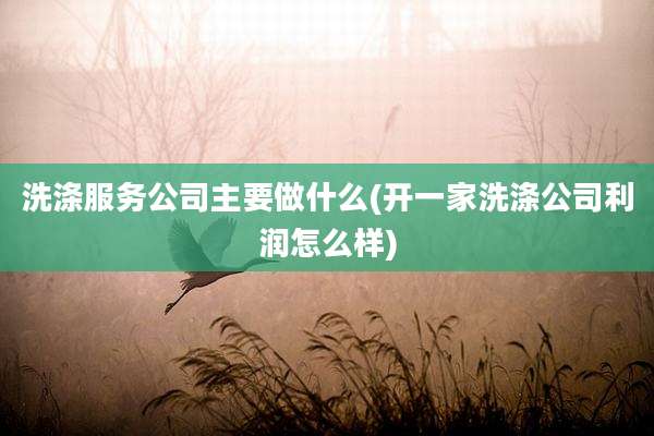 洗涤服务公司主要做什么(开一家洗涤公司利润怎么样)
