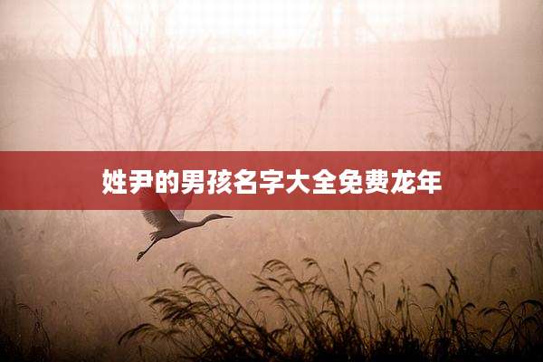 姓尹的男孩名字大全免费龙年