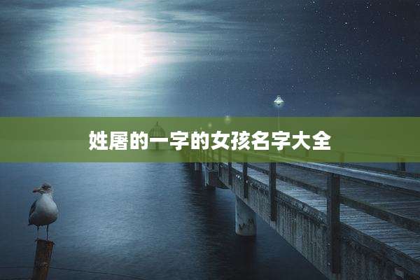 姓屠的一字的女孩名字大全