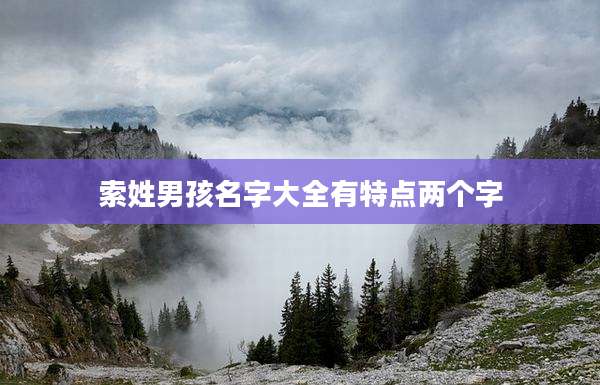 索姓男孩名字大全有特点两个字