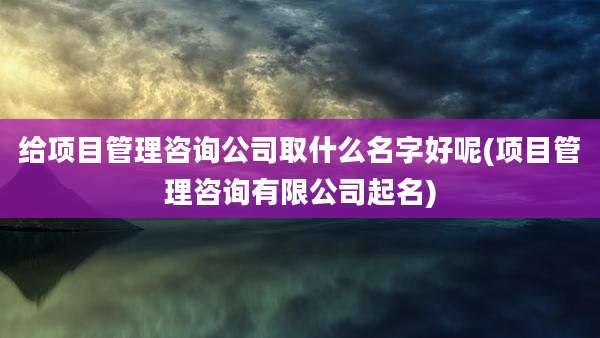 给项目管理咨询公司取什么名字好呢(项目管理咨询有限公司起名)