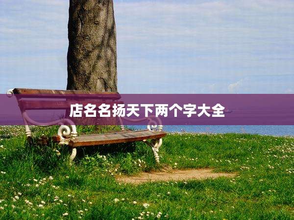 店名名扬天下两个字大全