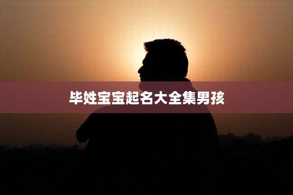 毕姓宝宝起名大全集男孩