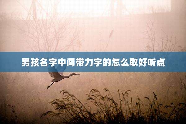 男孩名字中间带力字的怎么取好听点