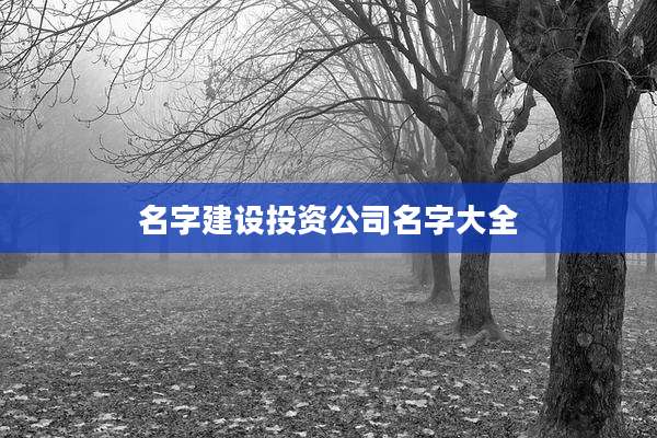 名字建设投资公司名字大全