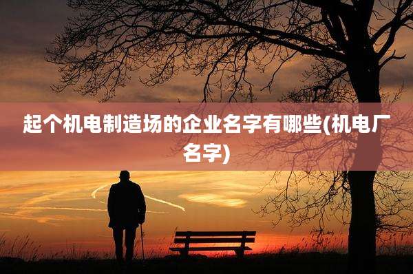 起个机电制造场的企业名字有哪些(机电厂名字)
