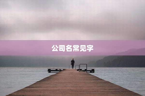 公司名常见字