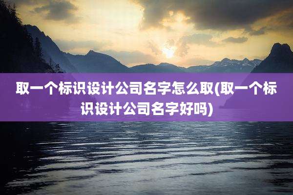 取一个标识设计公司名字怎么取(取一个标识设计公司名字好吗)