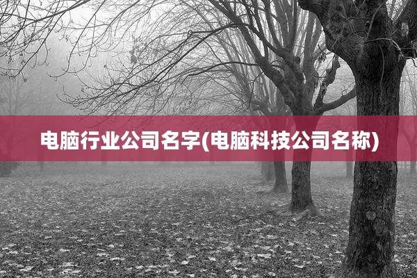 电脑行业公司名字(电脑科技公司名称)