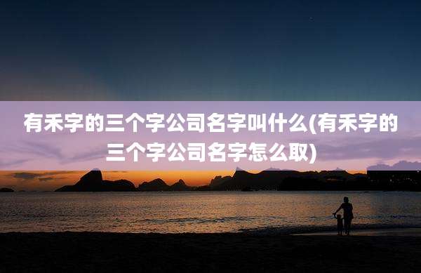 有禾字的三个字公司名字叫什么(有禾字的三个字公司名字怎么取)