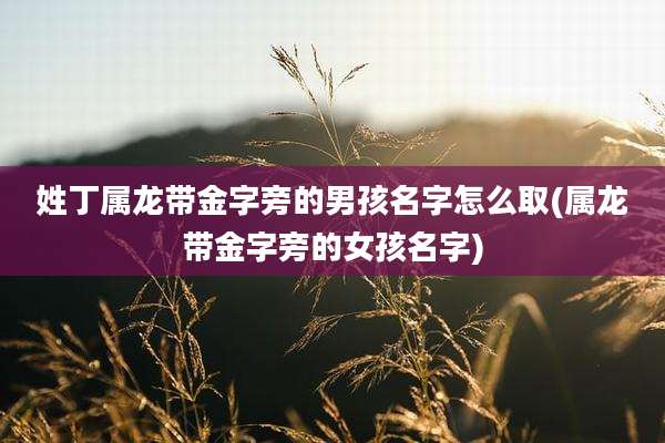 姓丁属龙带金字旁的男孩名字怎么取(属龙带金字旁的女孩名字)