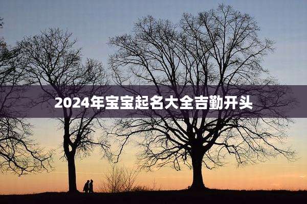 2024年宝宝起名大全吉勤开头