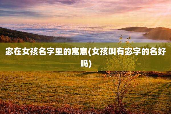 宓在女孩名字里的寓意(女孩叫有宓字的名好吗)