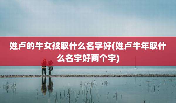 姓卢的牛女孩取什么名字好(姓卢牛年取什么名字好两个字)