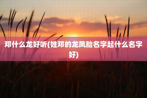 邓什么龙好听(姓邓的龙凤胎名字起什么名字好)