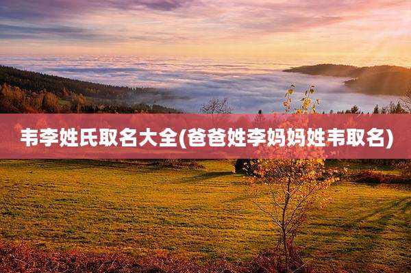韦李姓氏取名大全(爸爸姓李妈妈姓韦取名)