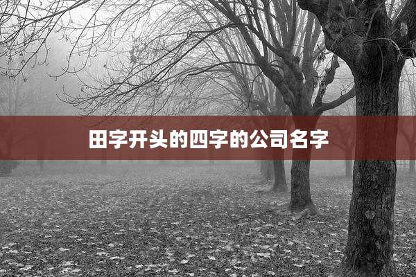 田字开头的四字的公司名字