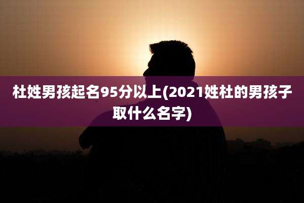 杜姓男孩起名95分以上(2021姓杜的男孩子取什么名字)