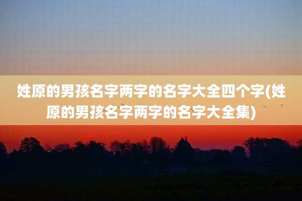 姓原的男孩名字两字的名字大全四个字(姓原的男孩名字两字的名字大全集)