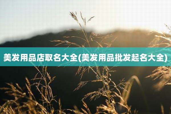 美发用品店取名大全(美发用品批发起名大全)