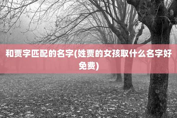 和贾字匹配的名字(姓贾的女孩取什么名字好免费)
