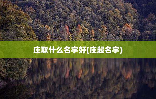 庄取什么名字好(庄起名字)