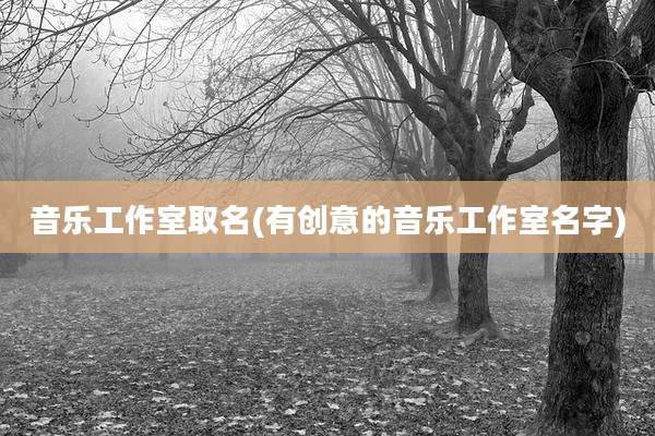 音乐工作室取名(有创意的音乐工作室名字)