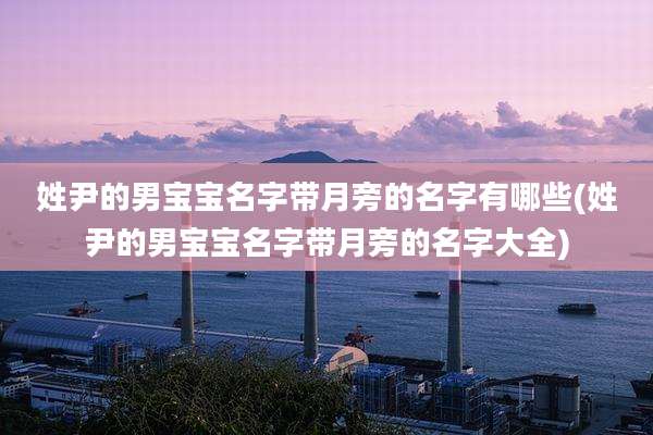 姓尹的男宝宝名字带月旁的名字有哪些(姓尹的男宝宝名字带月旁的名字大全)