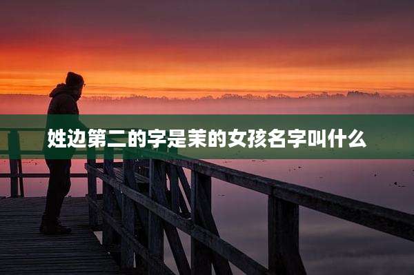 姓边第二的字是茉的女孩名字叫什么